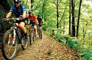 Itinerari mountain bike